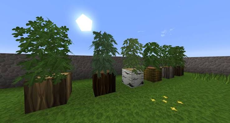 Different small tree and plant models displayed on separate log blocks