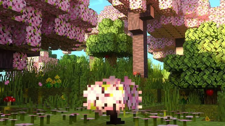Pink blossom grove with flowers and layered green foliage