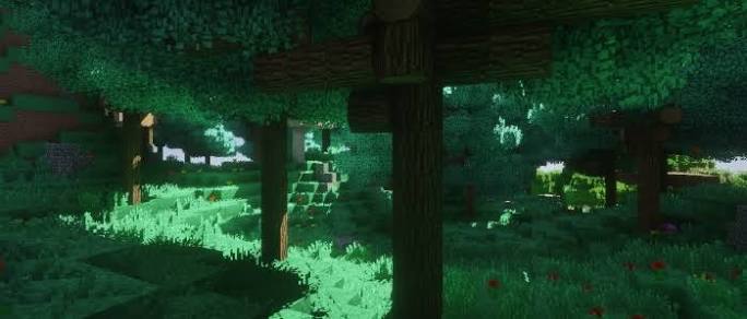 Dense shaded Minecraft forest with bright patches of grass