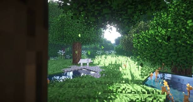 Sunlight shining through a leafy forest beside reflective water