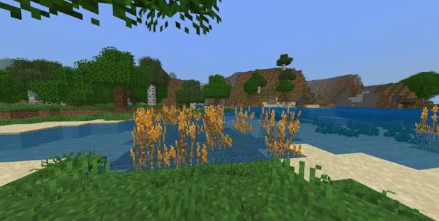 Reed-like plants along a sandy Minecraft lake surrounded by trees
